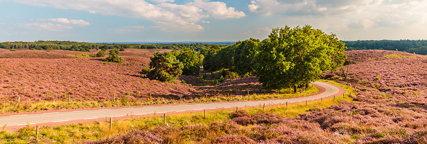 hotel-op-de-veluwe