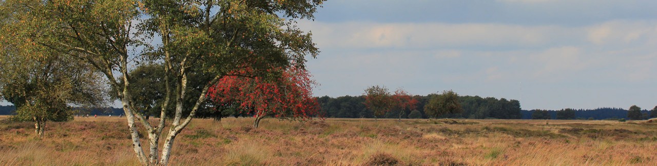 Genieten in Drenthe!