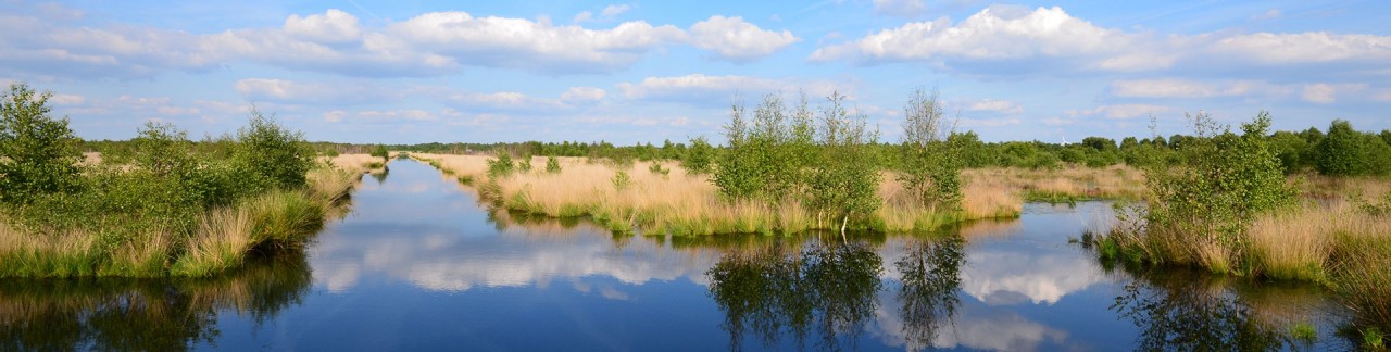 Emmen fascineert groot en klein