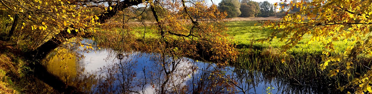 De Drentsche AA is groot genieten