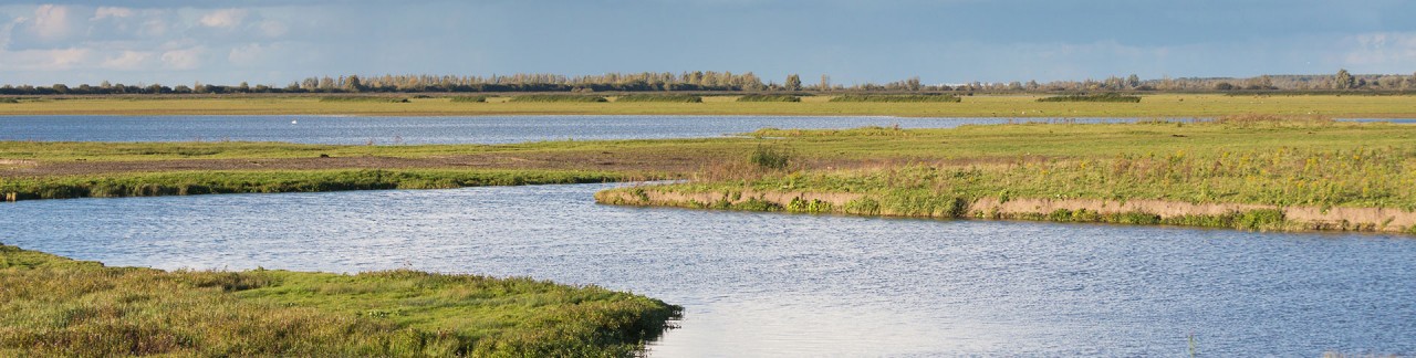 Oostvaardersplassen imponeren