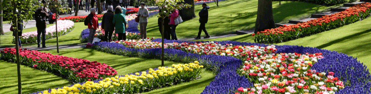 De Keukenhof