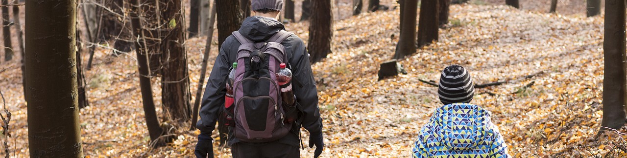 De mooiste wandelroute van Nederland!