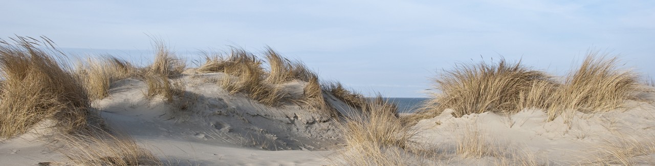 Schiermonnikoog