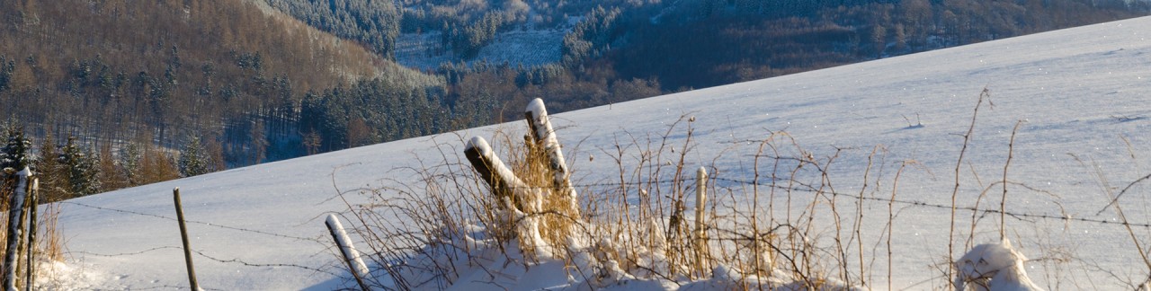 wintersport-willingen