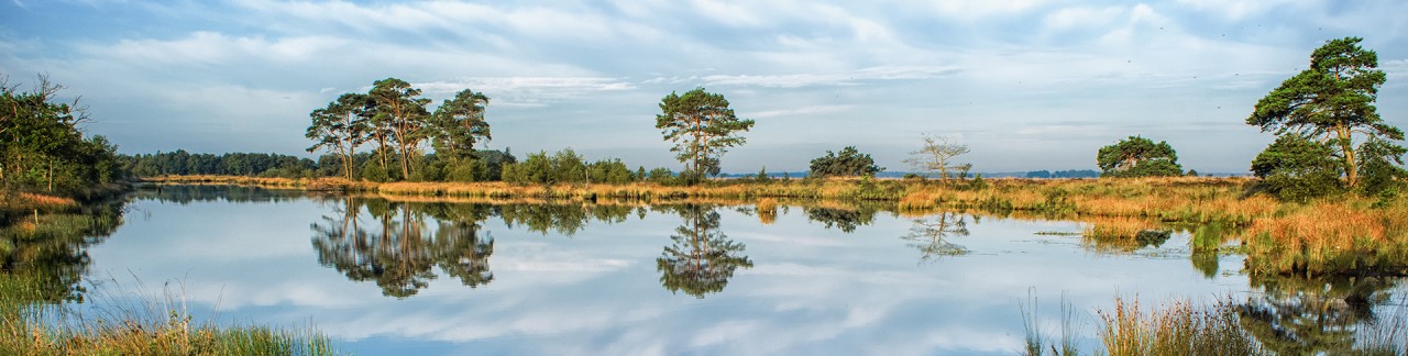 Nationaal-park-drenthe