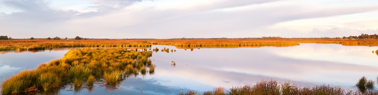 mooie-natuurgebieden-in-Nederland