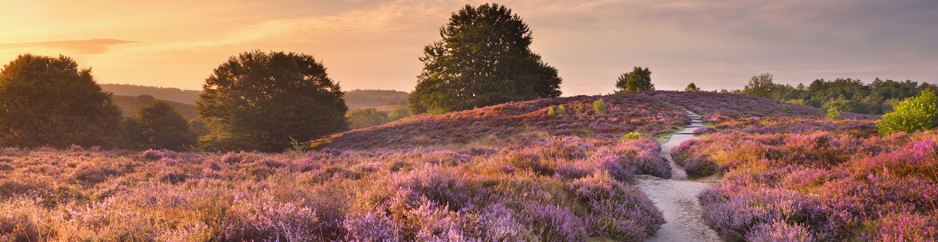 Bezoek Het Nationaal Park De Hoge Veluwe - Goedverblijf.nl blog