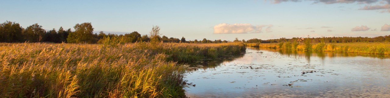 Weerribben-Wieden is zeldzaam mooi