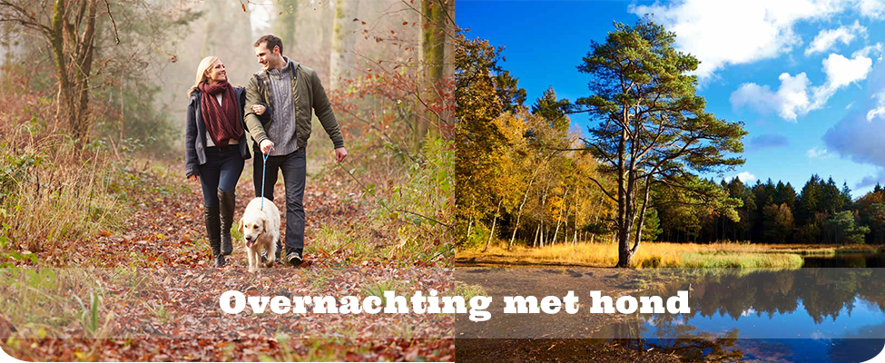 Overnachting met hond