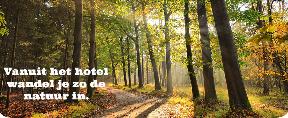 hotel in het bos