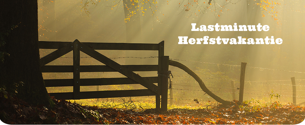 Lastminute herfstvakantie