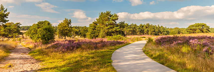 luxe-hotel-op-de-veluwe