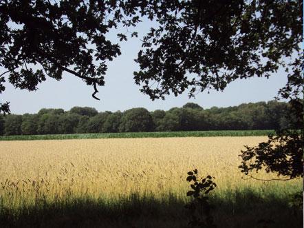omgeving hilversum