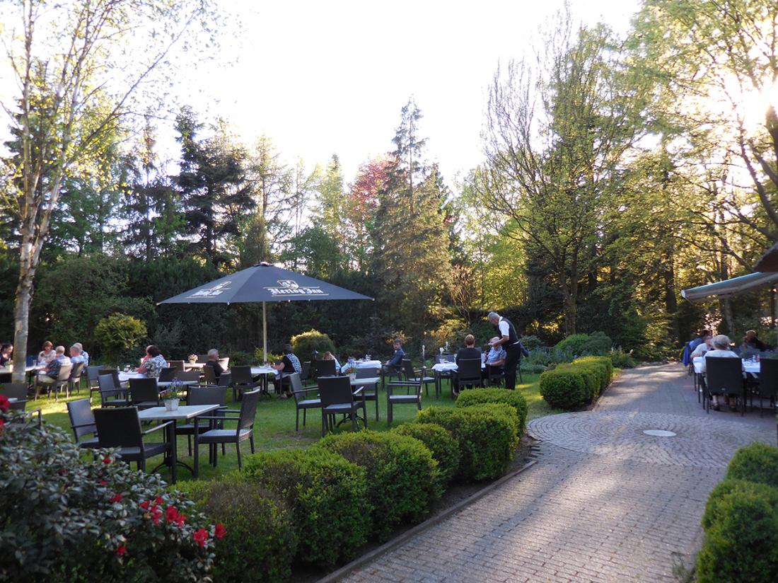 Terras Gelderland Witte Berken