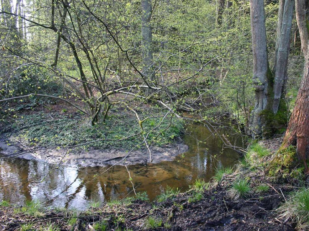 Boshotel Vlodrop Limburg Omgeving De Meinweg