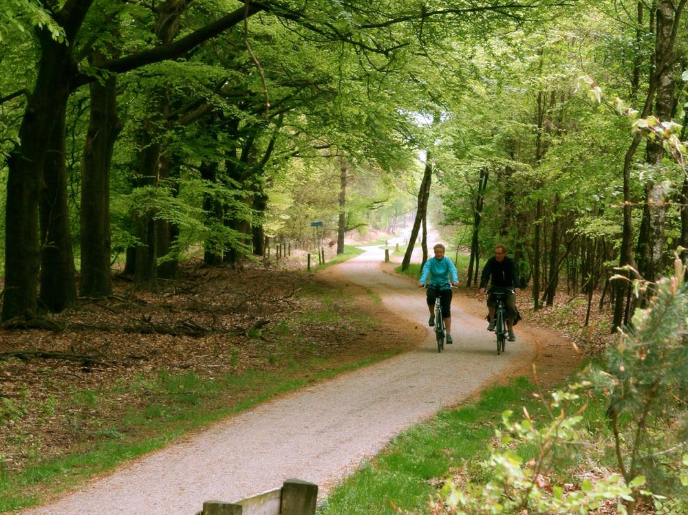 fietsen van hotel naar hotel aanbieding