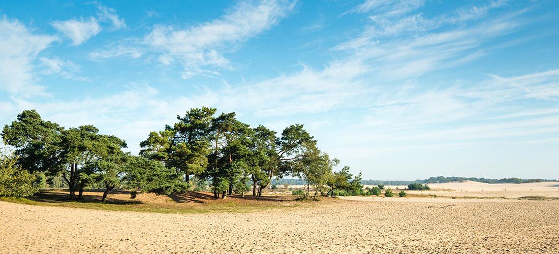 LoonseDuinen