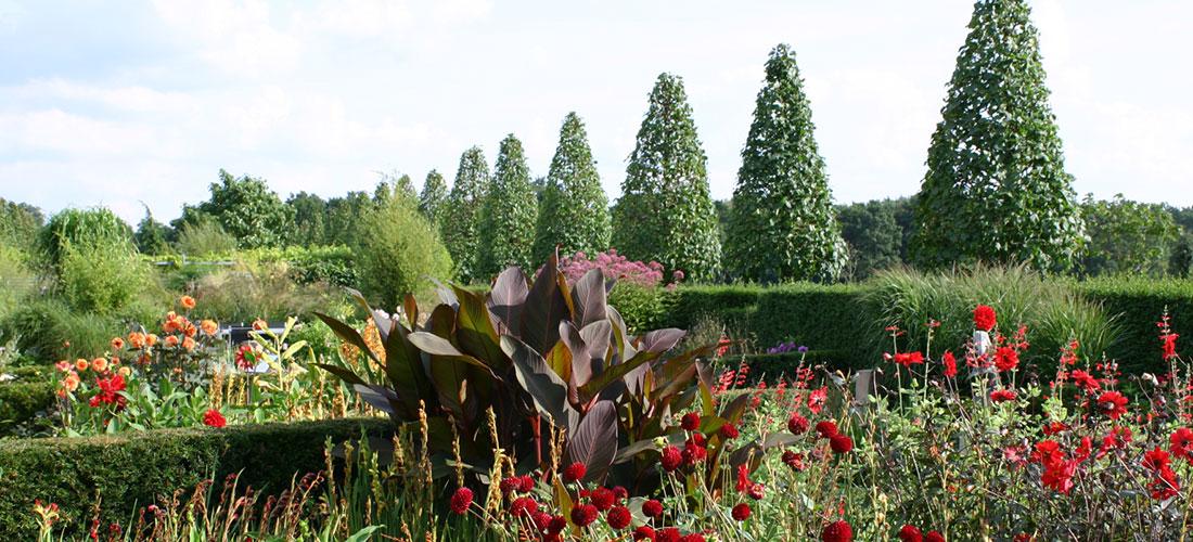 Kijktuinen Nunspeet Tuin