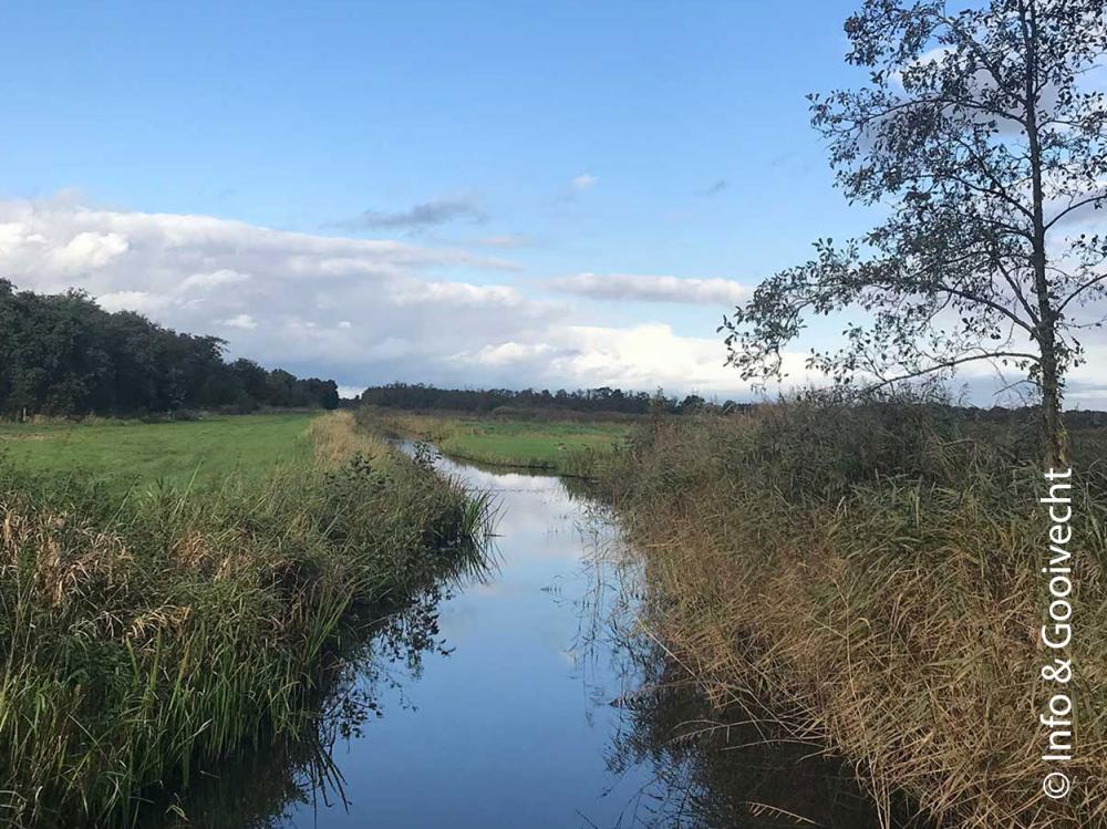 Ankeveense Plassen Ankeveense Plassen