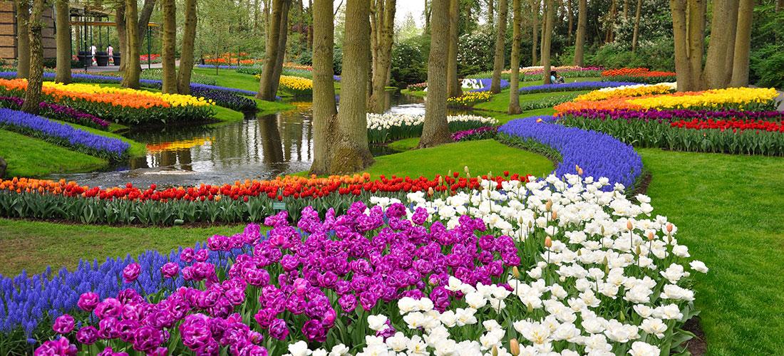 Keukenhof