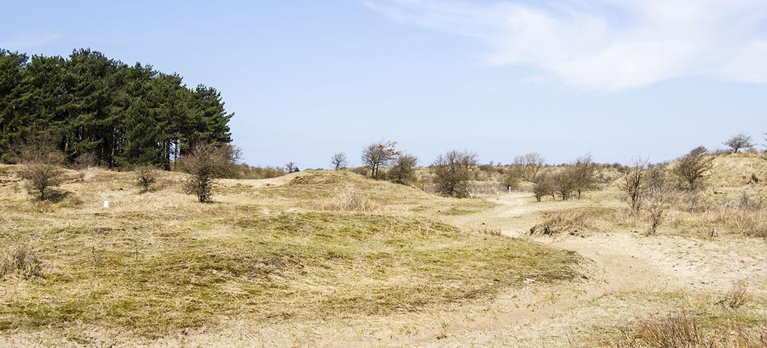 Zuid Kennemerland