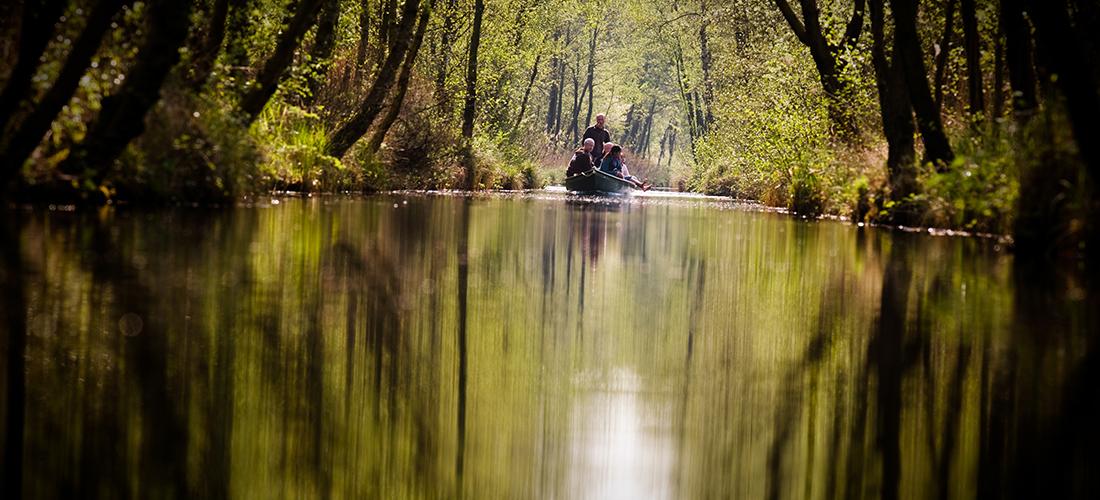 Nationaal Park Weerribben Wieden