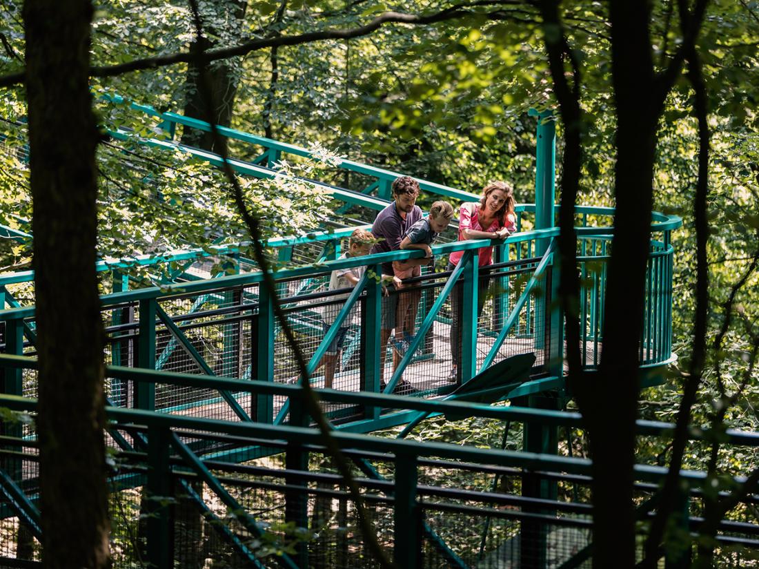 Drouwen Buitencentrum Boomkroonpad