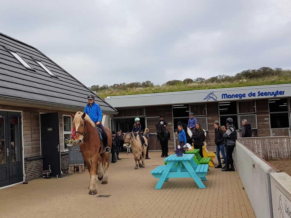 Manege de Seeruyter Friesland