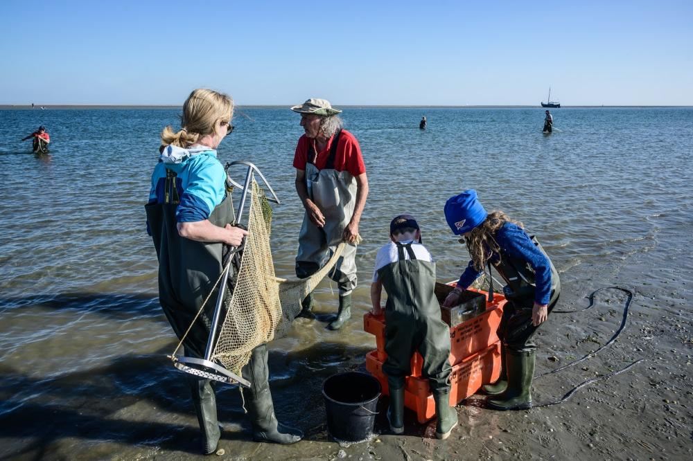 phoca waddentocht toegestuurd