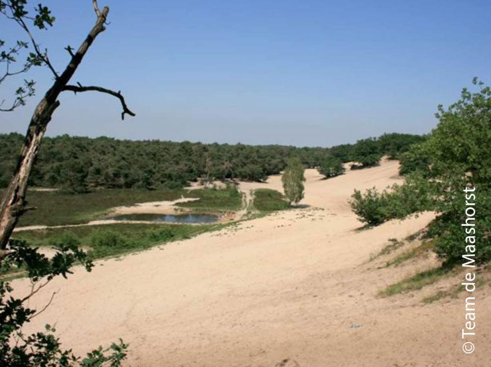 Wildpark_De_Maashorst_Schajk