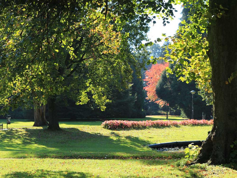 Volkspark Enschede groene omgeving