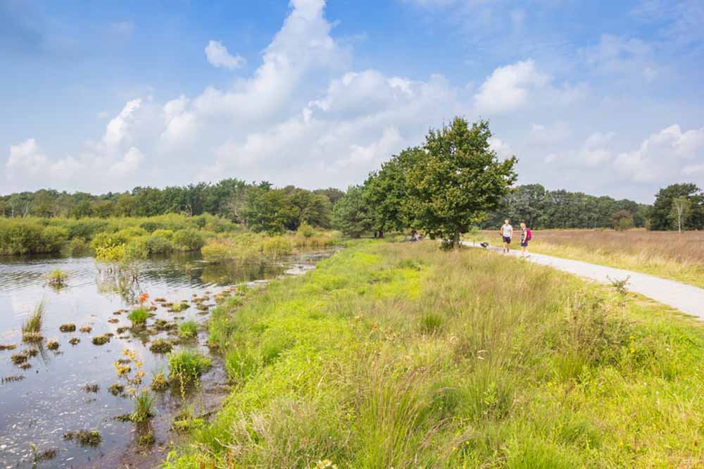 nationaalpark  dwingelderverd