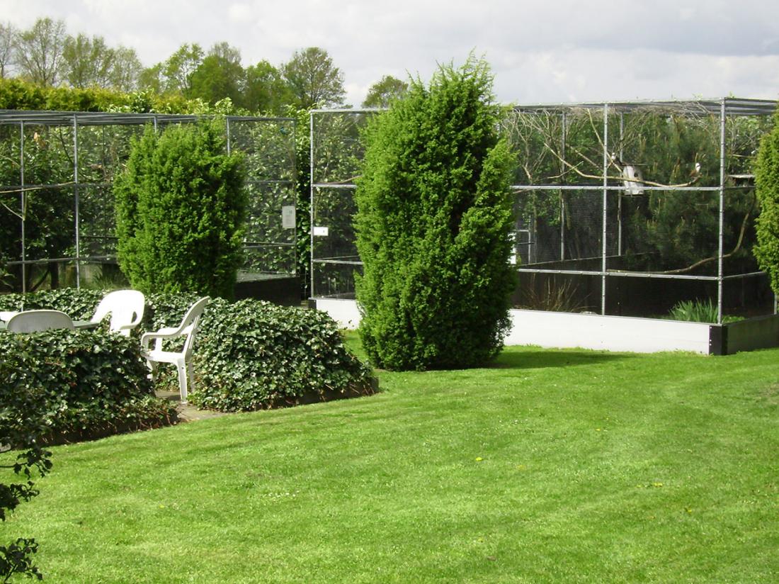 Vogelpark Ruinen Tuin