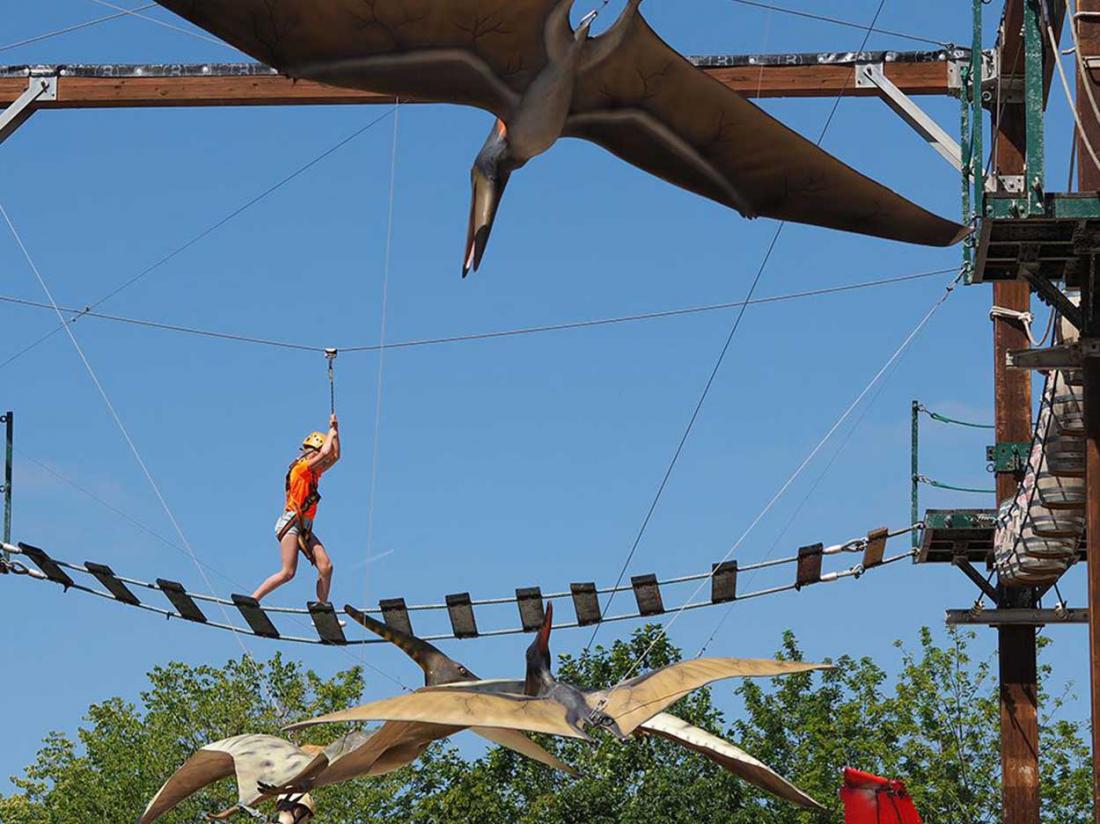 Klimmen in Parcourhoogte Dinoland Zwolle