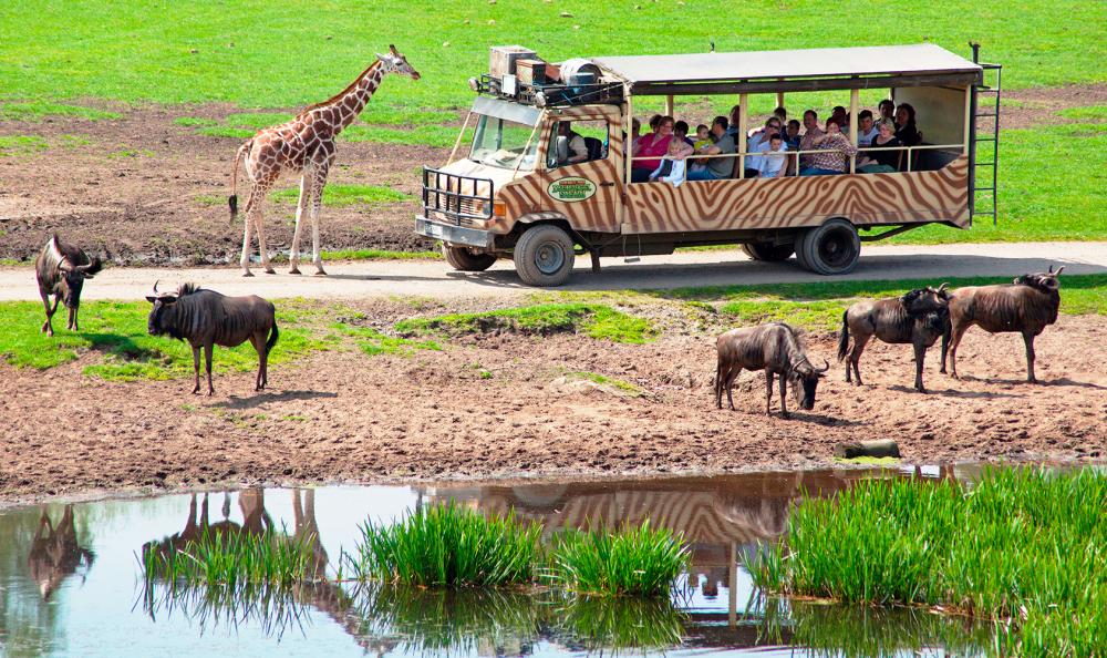 02 Serengeti Safari 02 Serengeti Safari