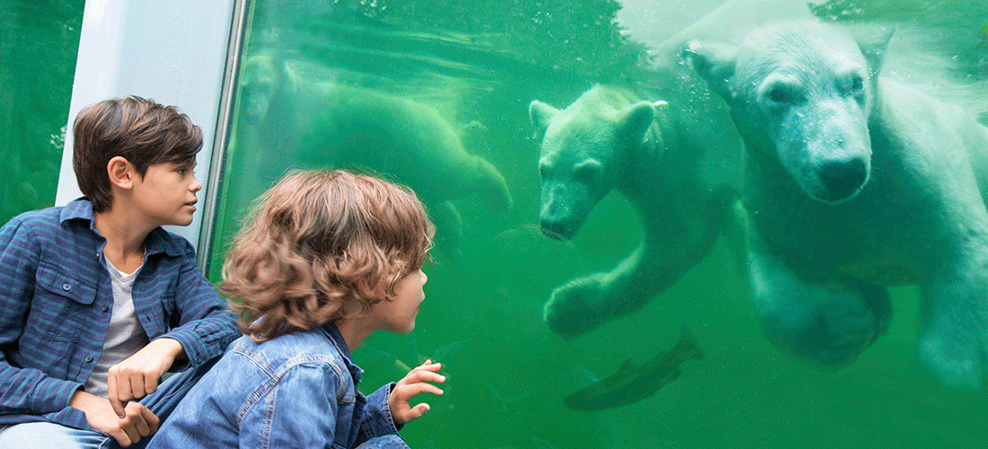 Ouwehand Dierenpark Rhenen IJberen