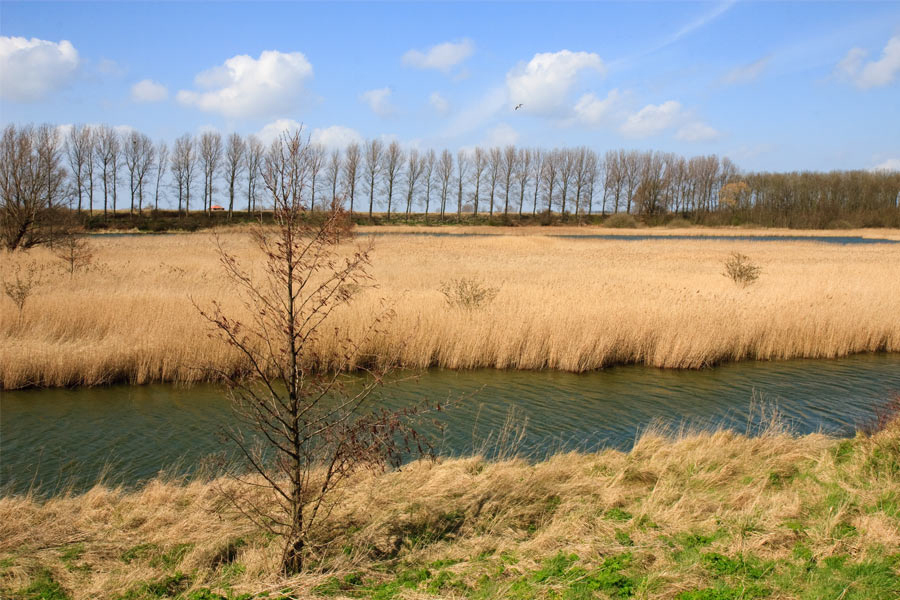 natuurgebied de pluimpot