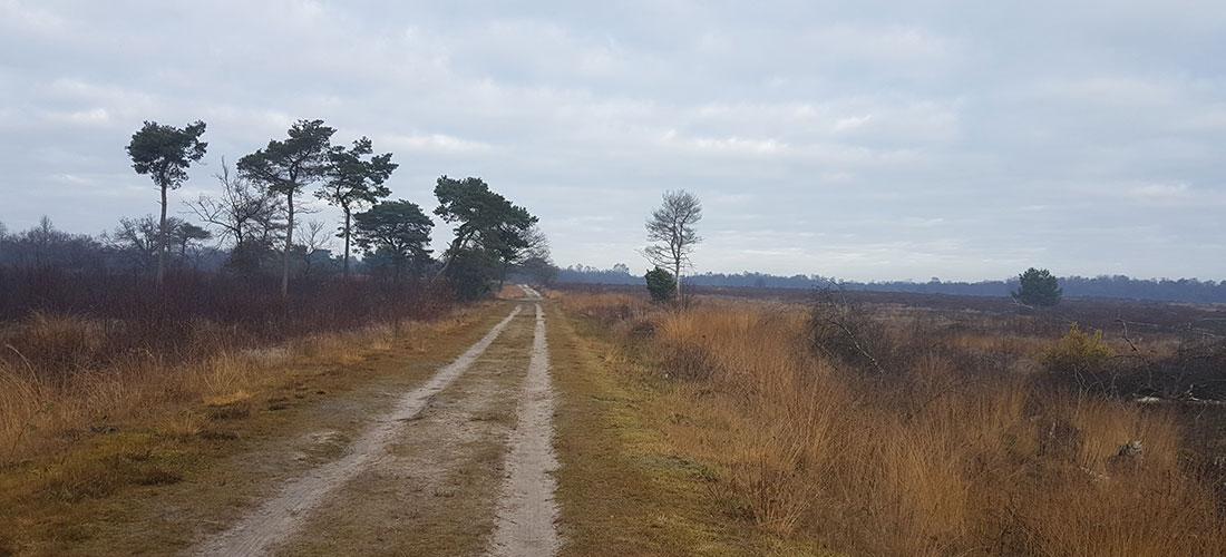 Engbertsdijksvenen Wandelgebied Westerhaar