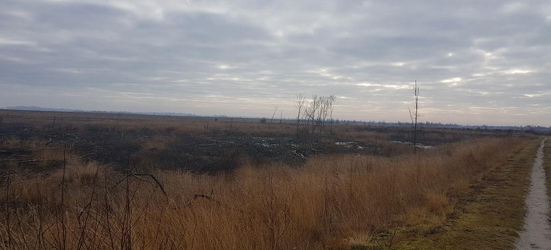 Engbertsdijksvenen Wandelroutes Twente