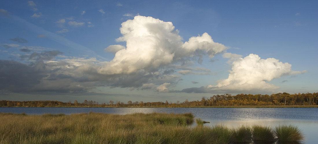 Lauwersmeer