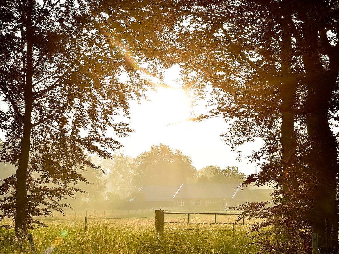 overnachting markelo natuur overijssel