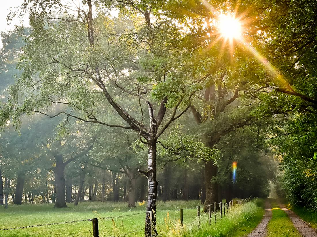 weekendje weg overijssel omgeving