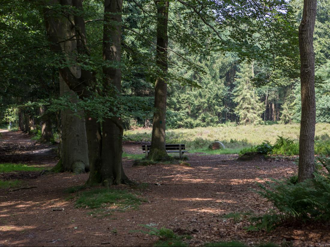 Buitengoed Fredeshiem Overijssel Omgeving