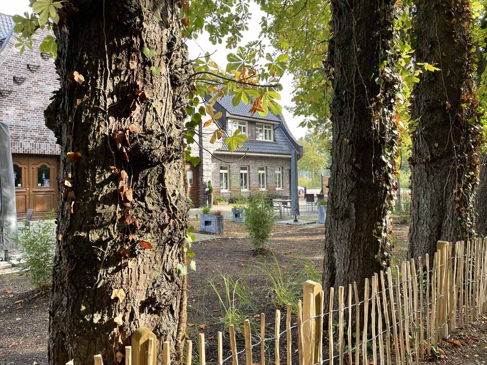 door de bomen zicht op ds gronau