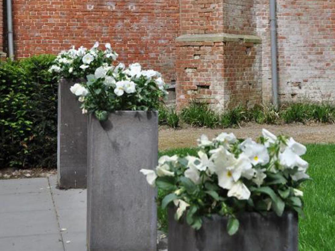 Klooster Nieuwkerk Goirle Weekendjeweg Bloemen