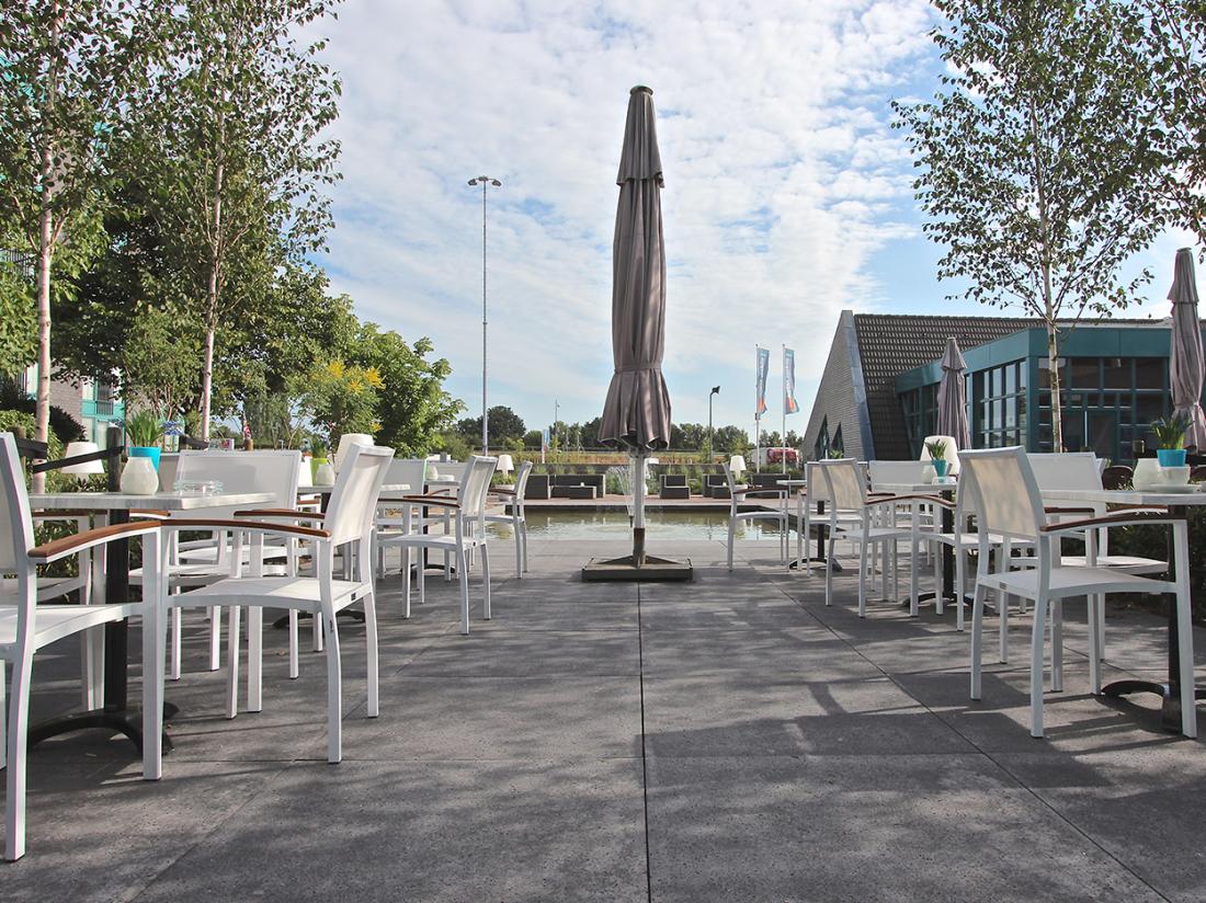 Terras