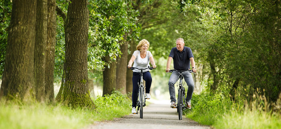 fietsen door de drentse bossen