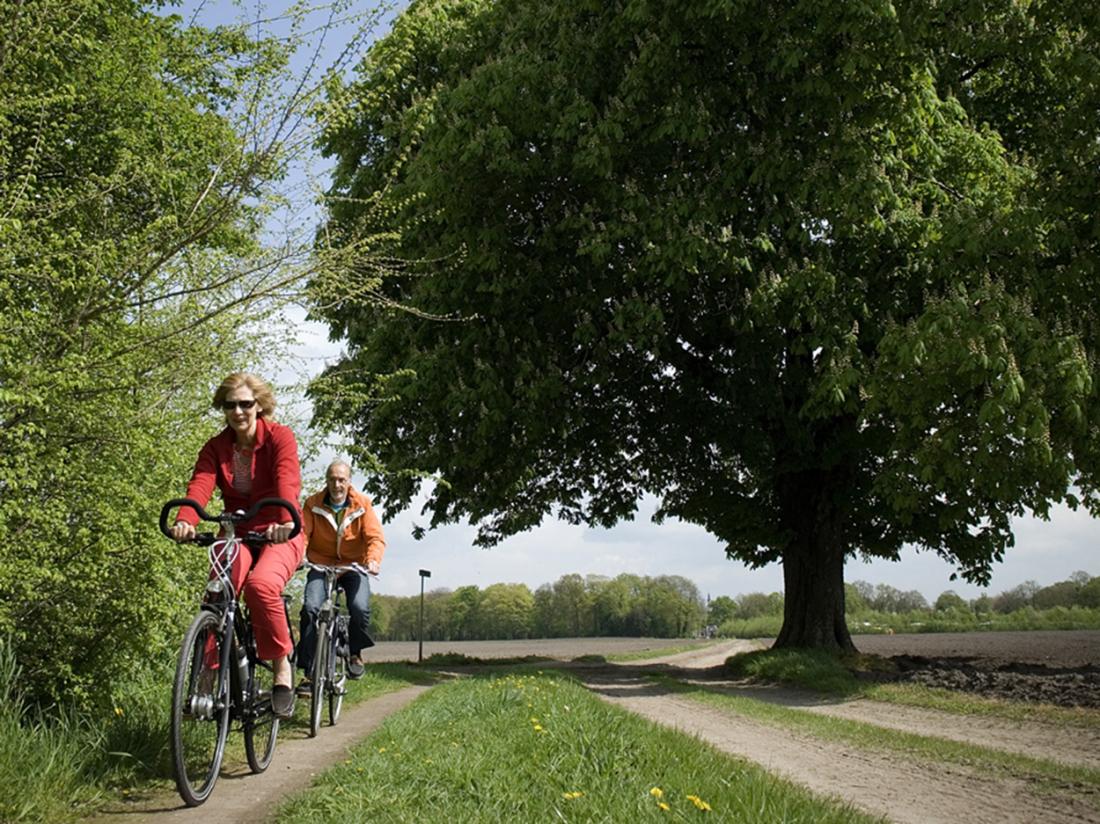 Hotel Hof Van Gelre Lochem Fietsen