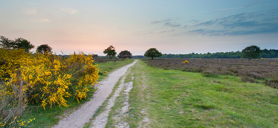 fietsvakantie de utrechtse heuvelrug